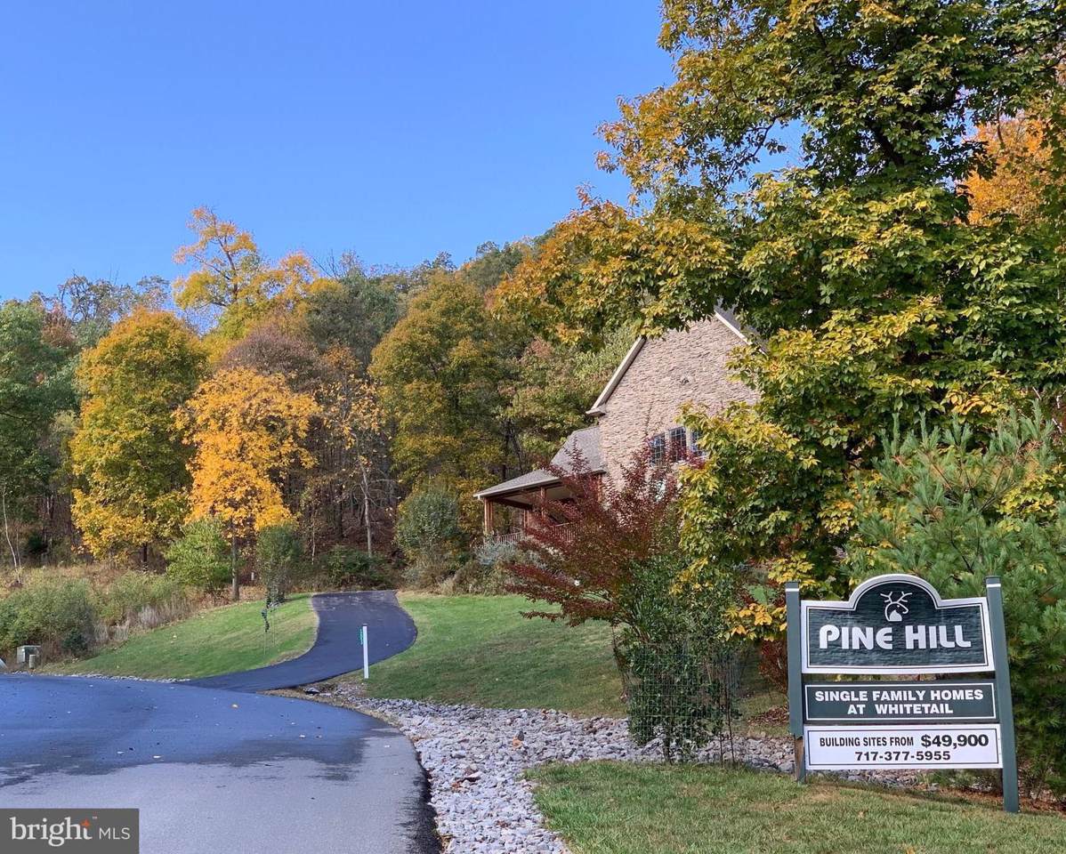 Mountainside Drive - Photo 1