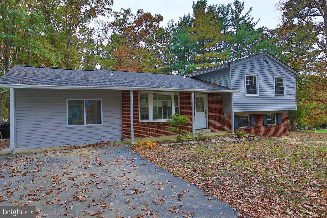 7732 Warbler Lane - Photo 1