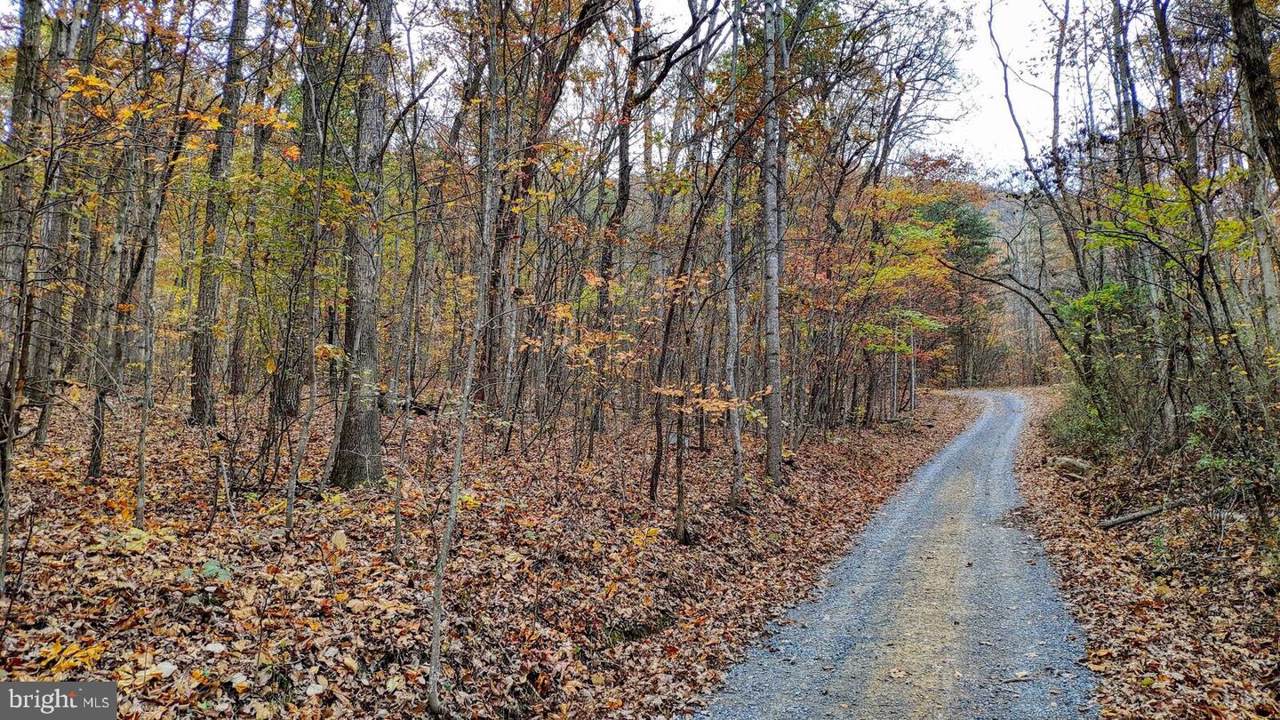 Powell Mountain Lane - Photo 1