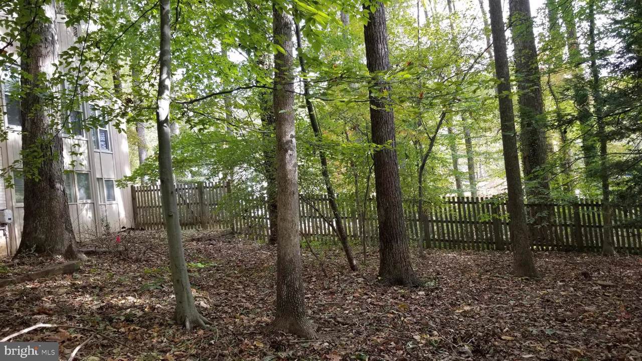868 Sconset Lane - Photo 1