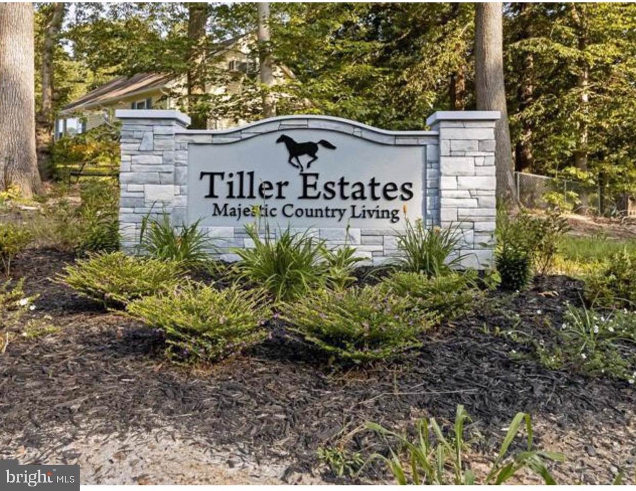 Lot #3 Tiller Farm Lane - Photo 1