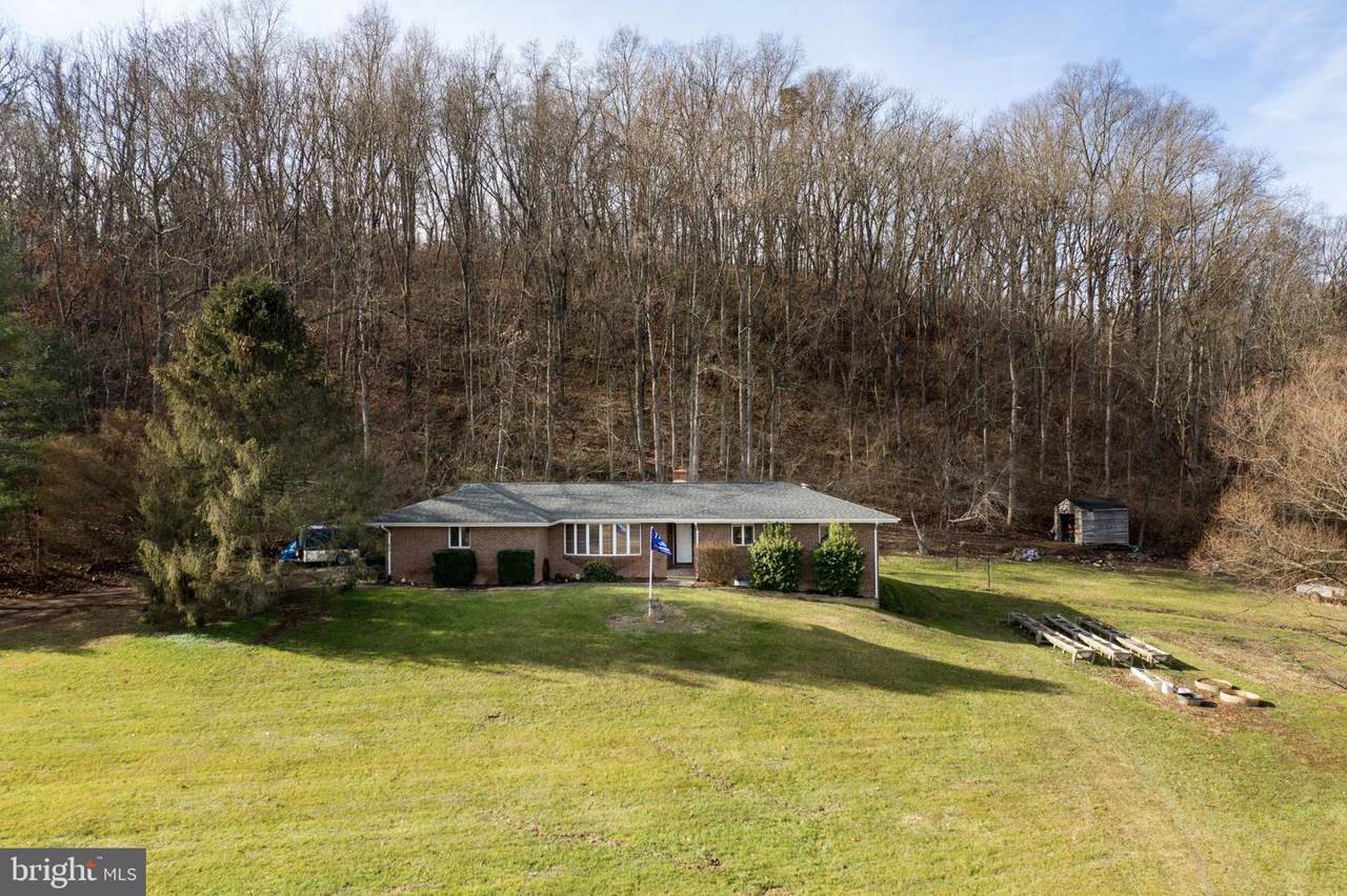 14 Forest View Road - Photo 1