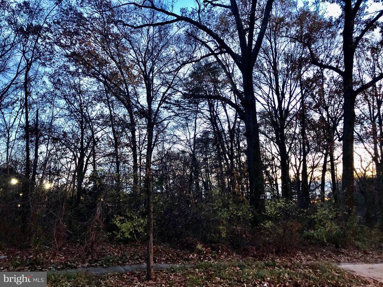 9009 Magnolia Avenue - Photo 1