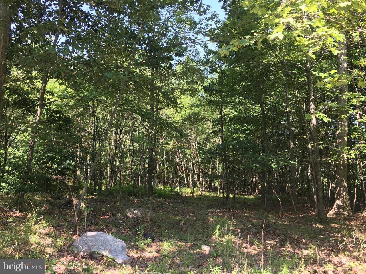 lot 1 Redbud Court - Photo 1 lot 1 Redbud Court - Photo 1