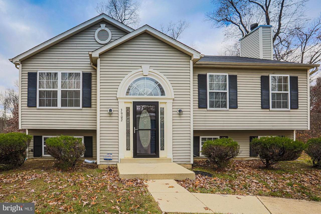 3902 Pats Court - Photo 1