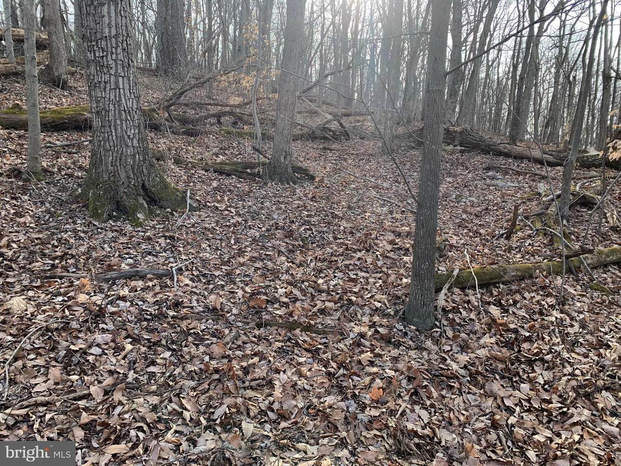 Timberline Ridge Road - Photo 1