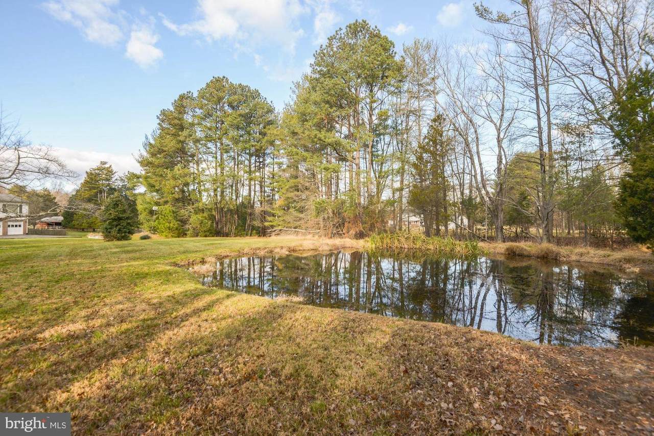 11640 Blue Ridge Lane - Photo 1 11640 Blue Ridge Lane - Photo 1