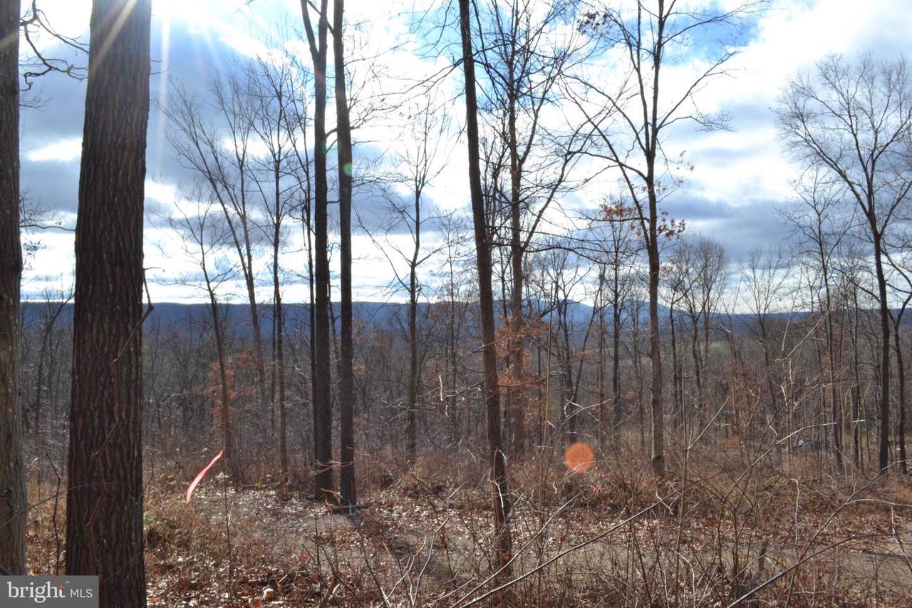 0 Mount Olive Road - Photo 1