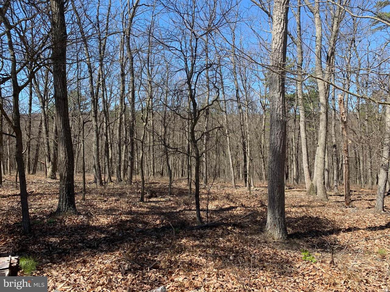 217 Doman Ridge Road - Photo 1