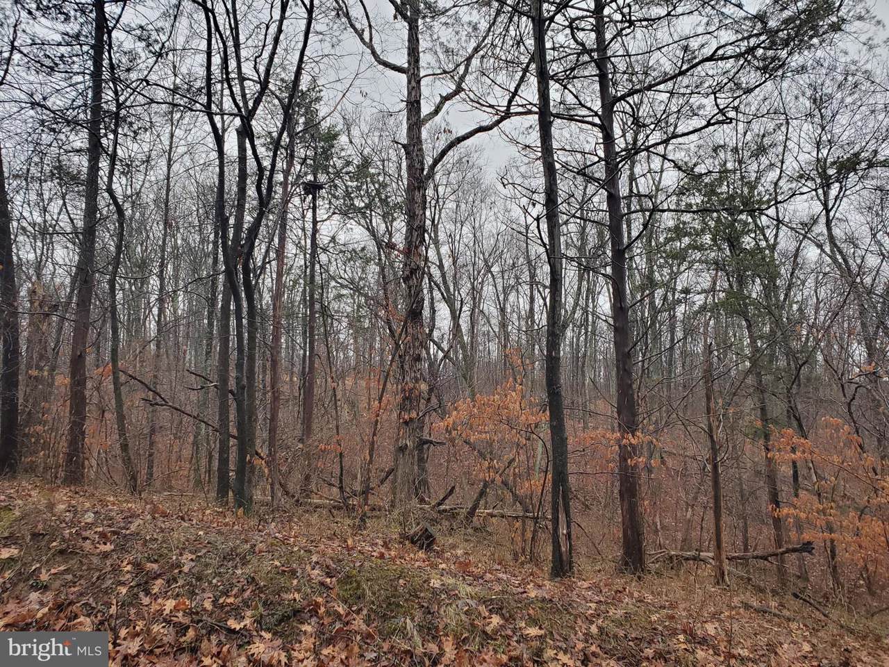 8756 Buckland Mill Road - Photo 1