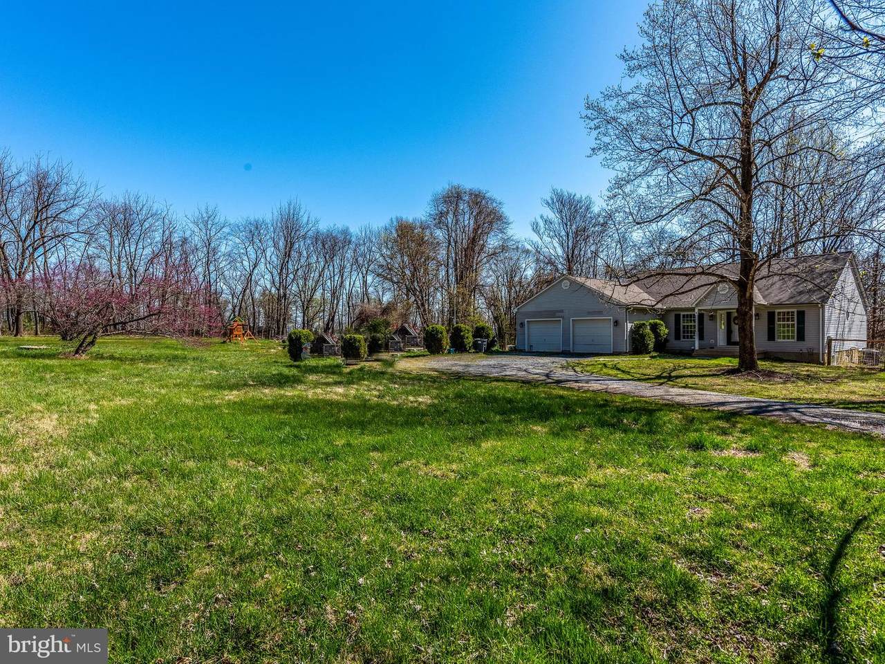 12680 Mountain Road - Photo 1