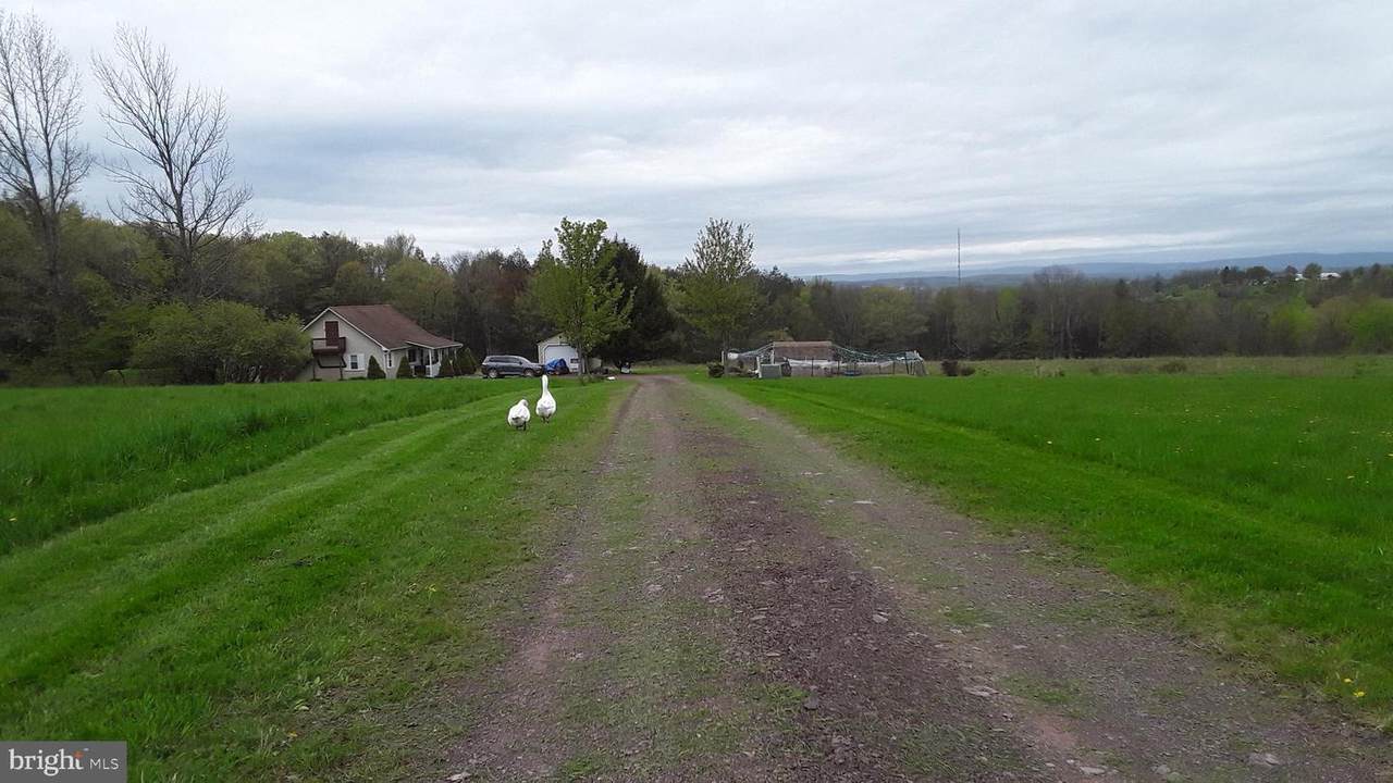 281 Buckingham Rd - Photo 1