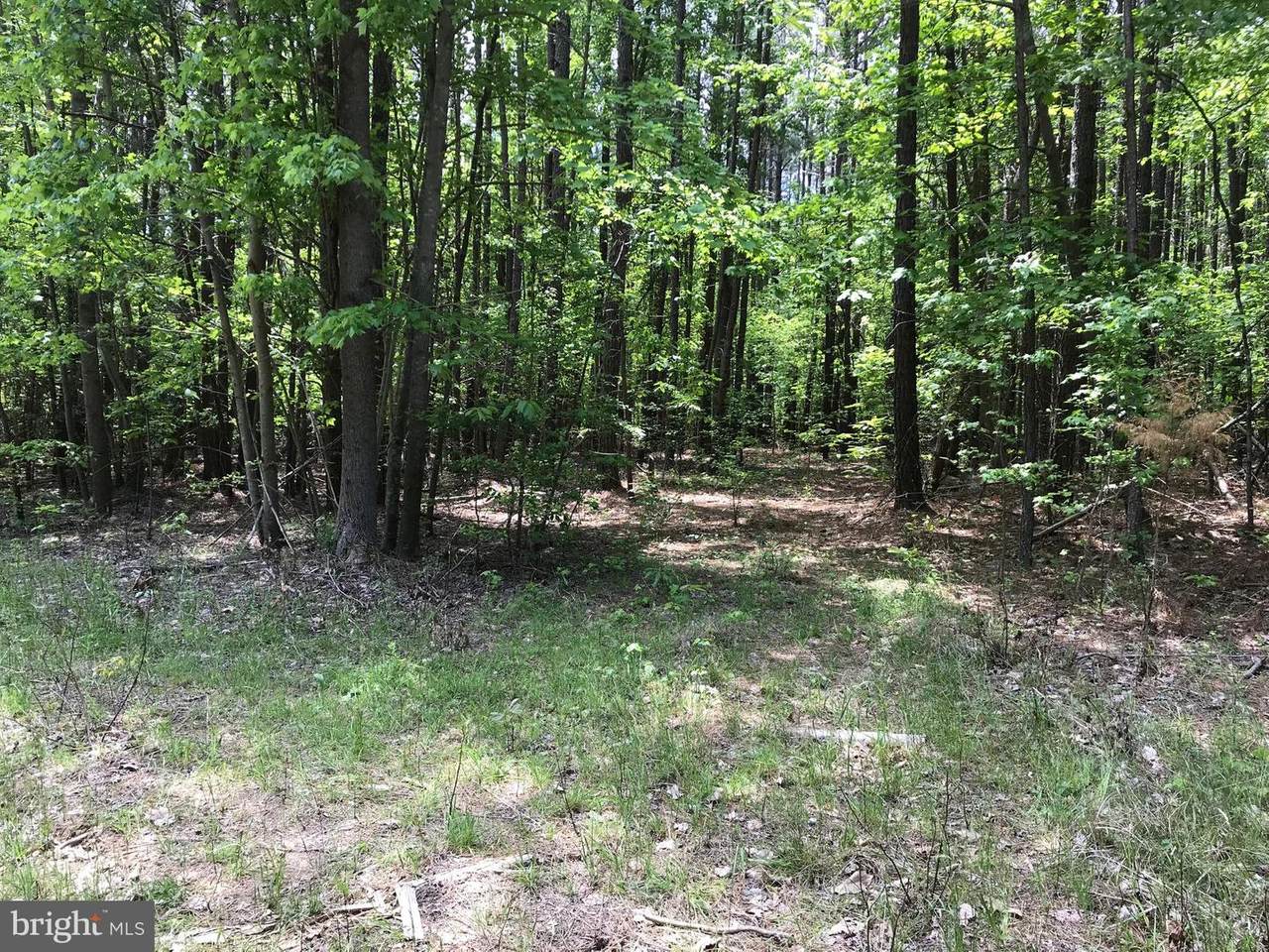 0 Wildlife Lane - Photo 1