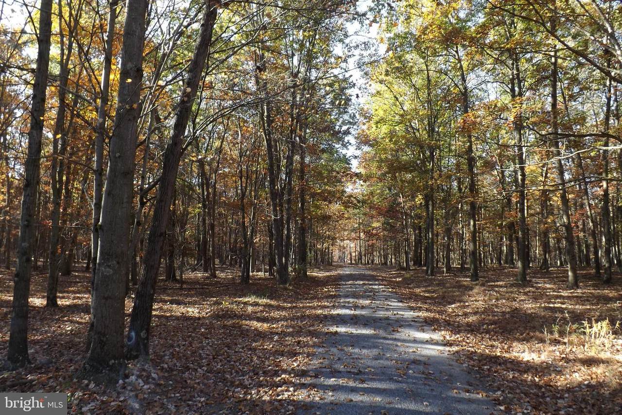10 South Branch Road - Photo 1