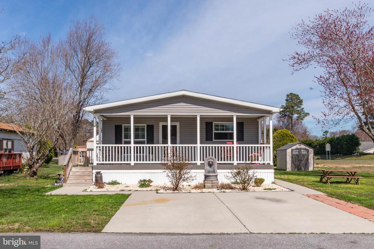 33533 Buttercup Street - Photo 1