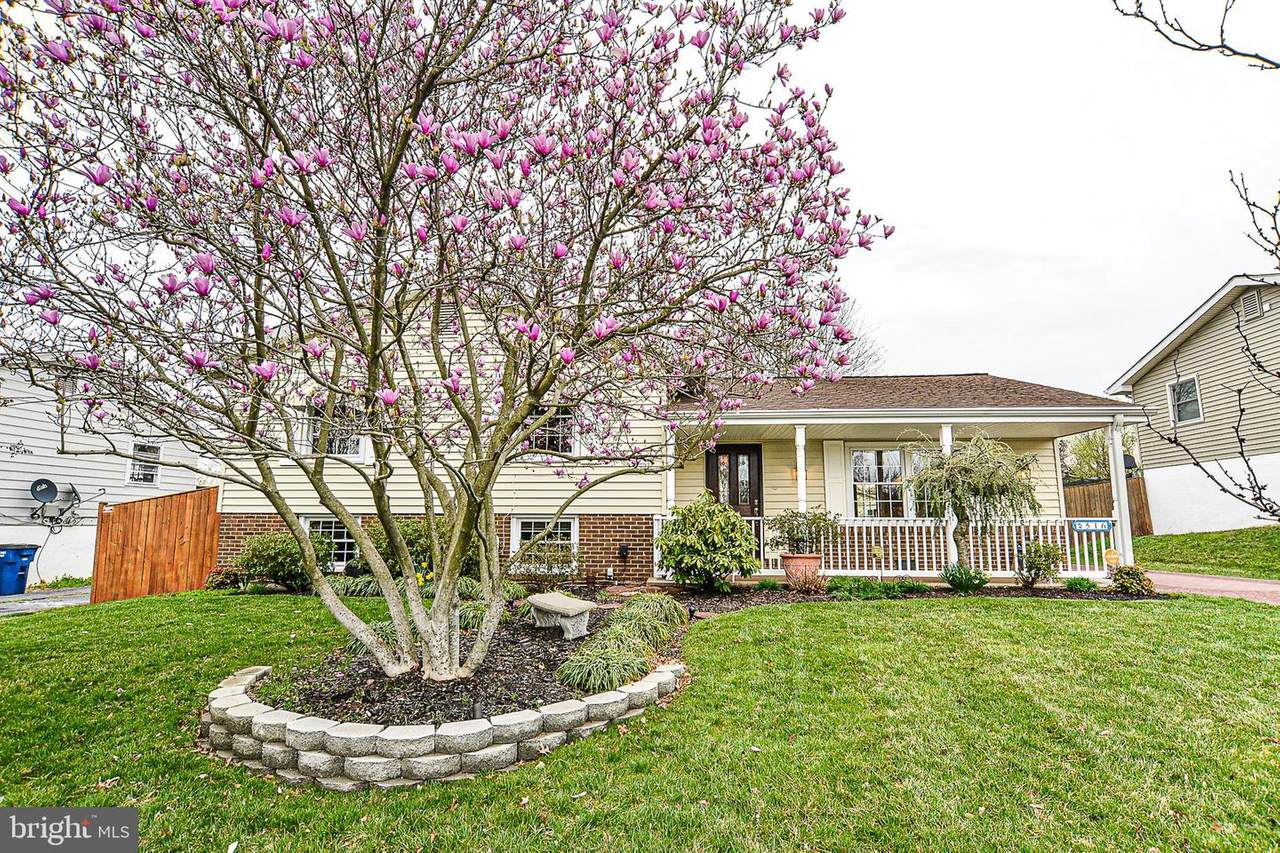 516 Alder Avenue - Photo 1