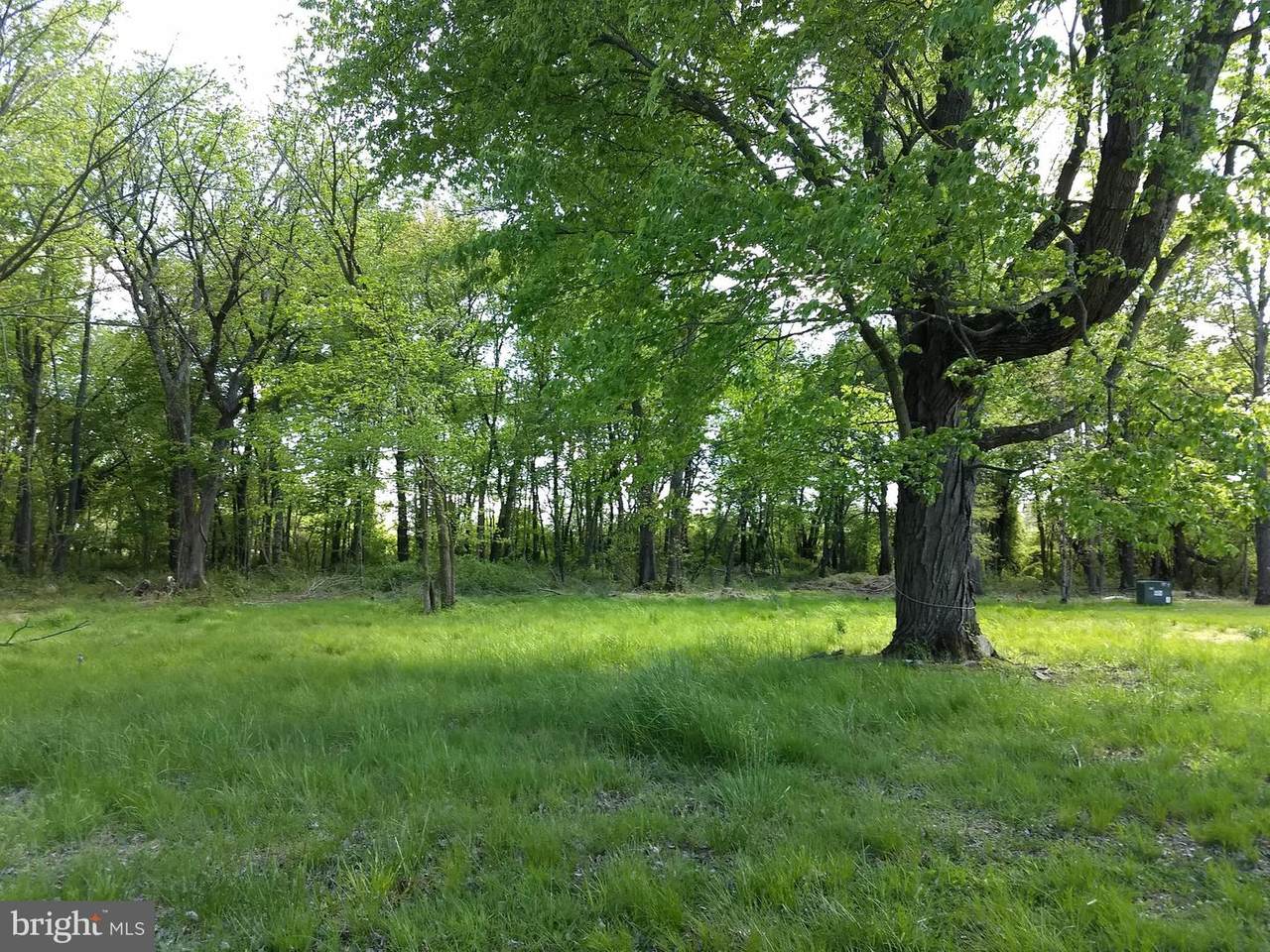 22311 Bernard Ln. - Photo 1