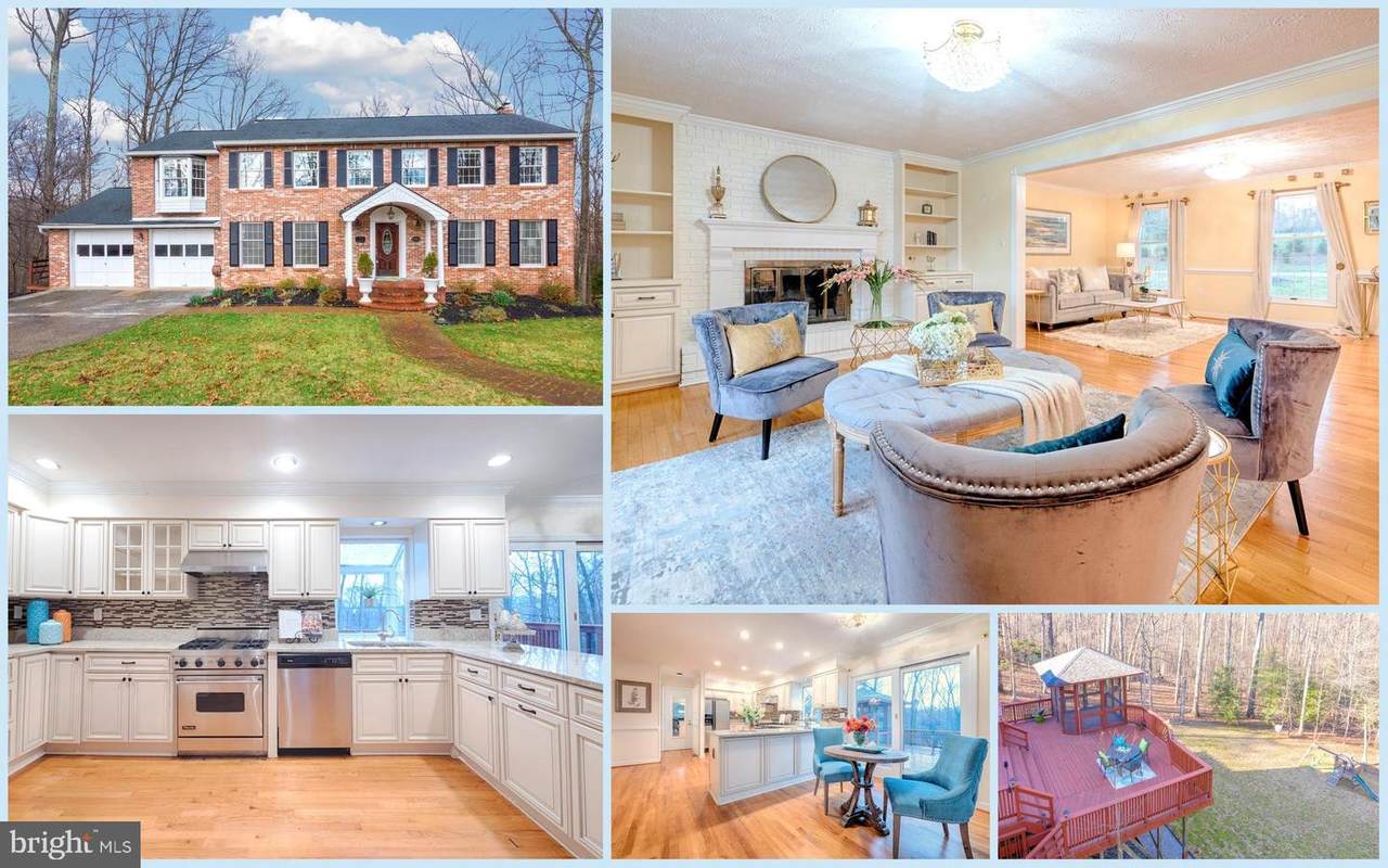10903 Timbermill Court - Photo 1