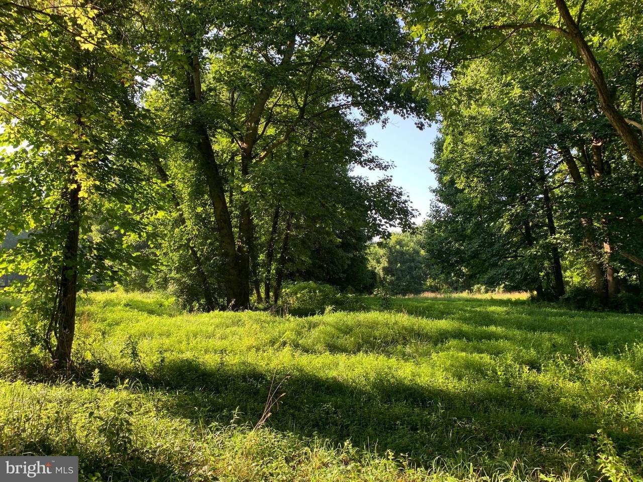 0-(LOT #2) Mcglothlin Road - Photo 1