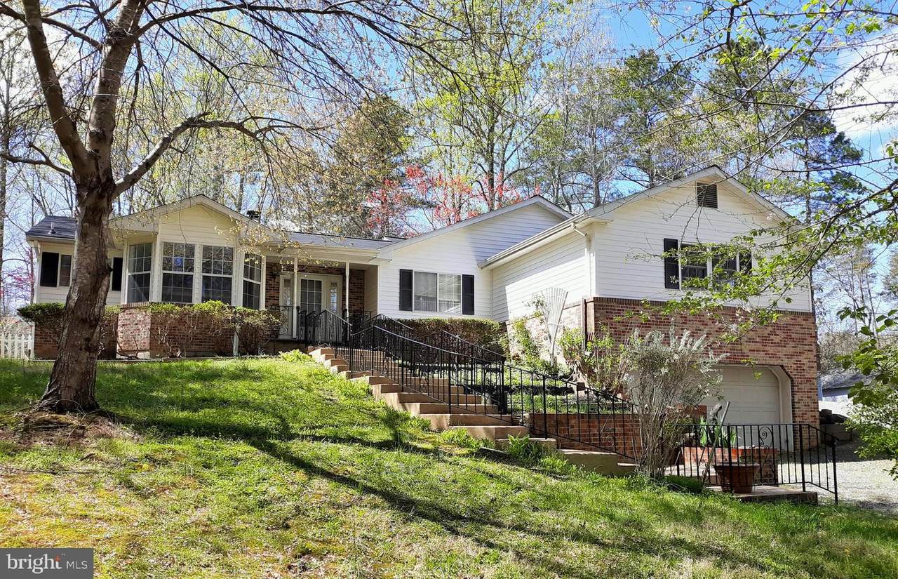 22175 Romanus Drive - Photo 1 22175 Romanus Drive - Photo 1
