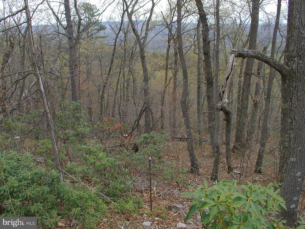 Tomahawk Trail Lot 71 - Photo 1