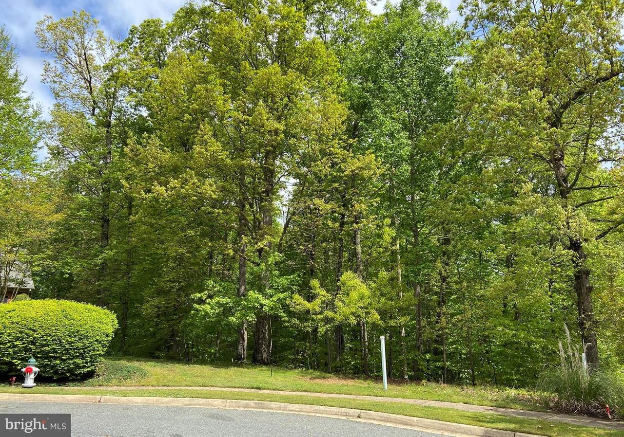 1013 Featherston Court - Photo 1