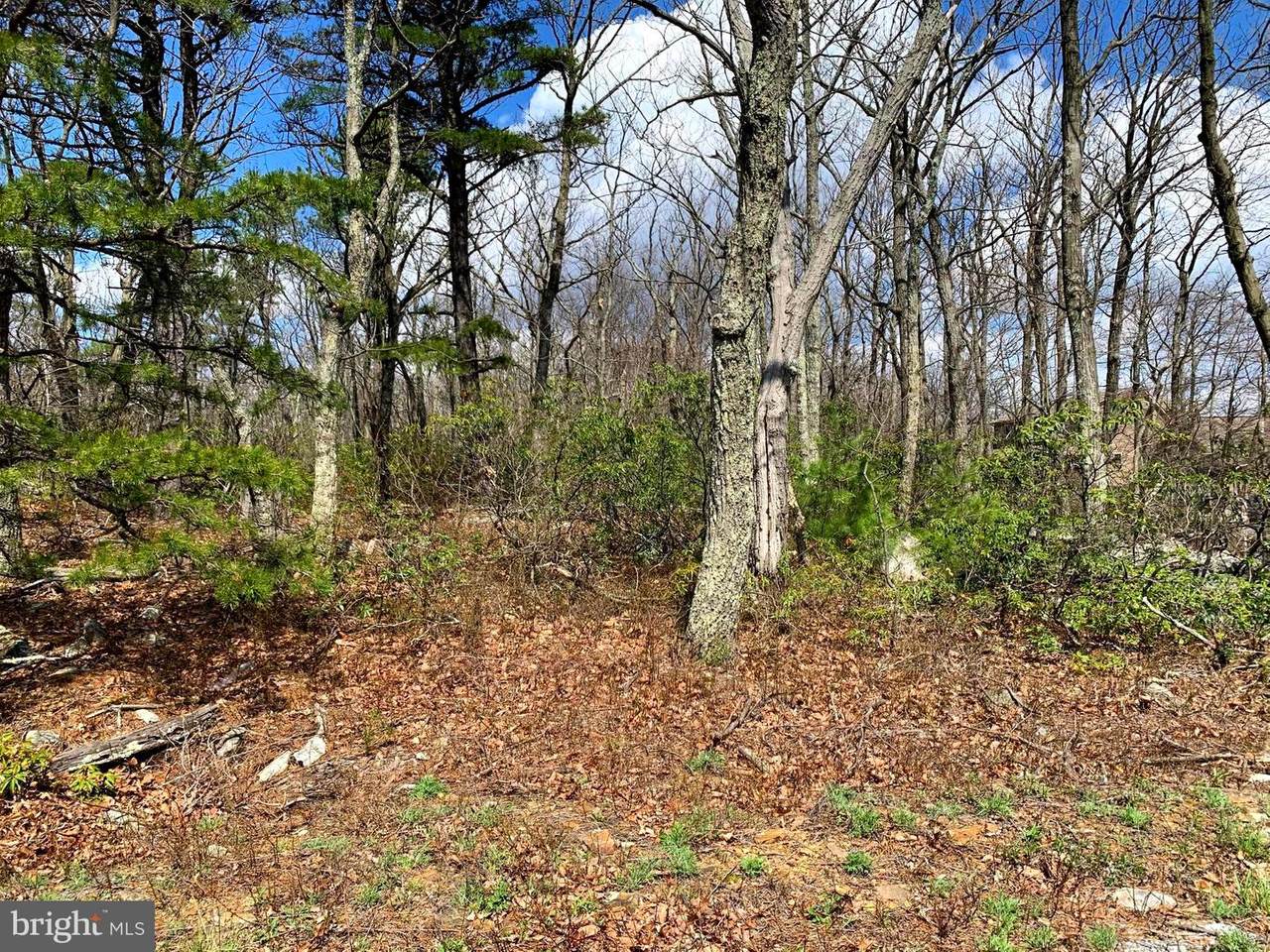 0 Bear Trail - Photo 1
