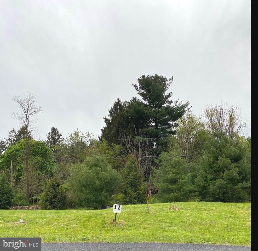 10367 Foxleigh - Photo 1