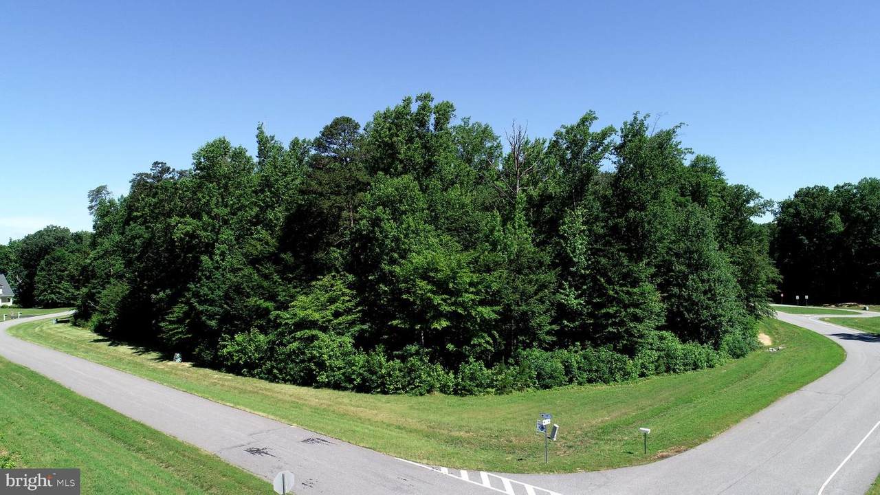 Rainbow Ridge - Photo 1