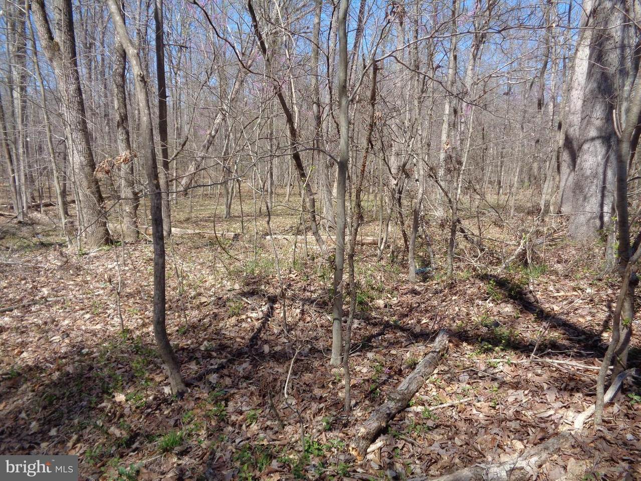 303 Onville Road - Photo 1
