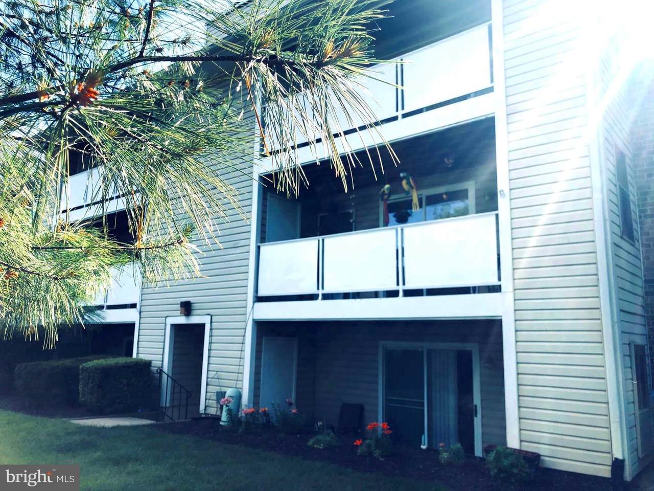 12201 Peach Crest Drive - Photo 1