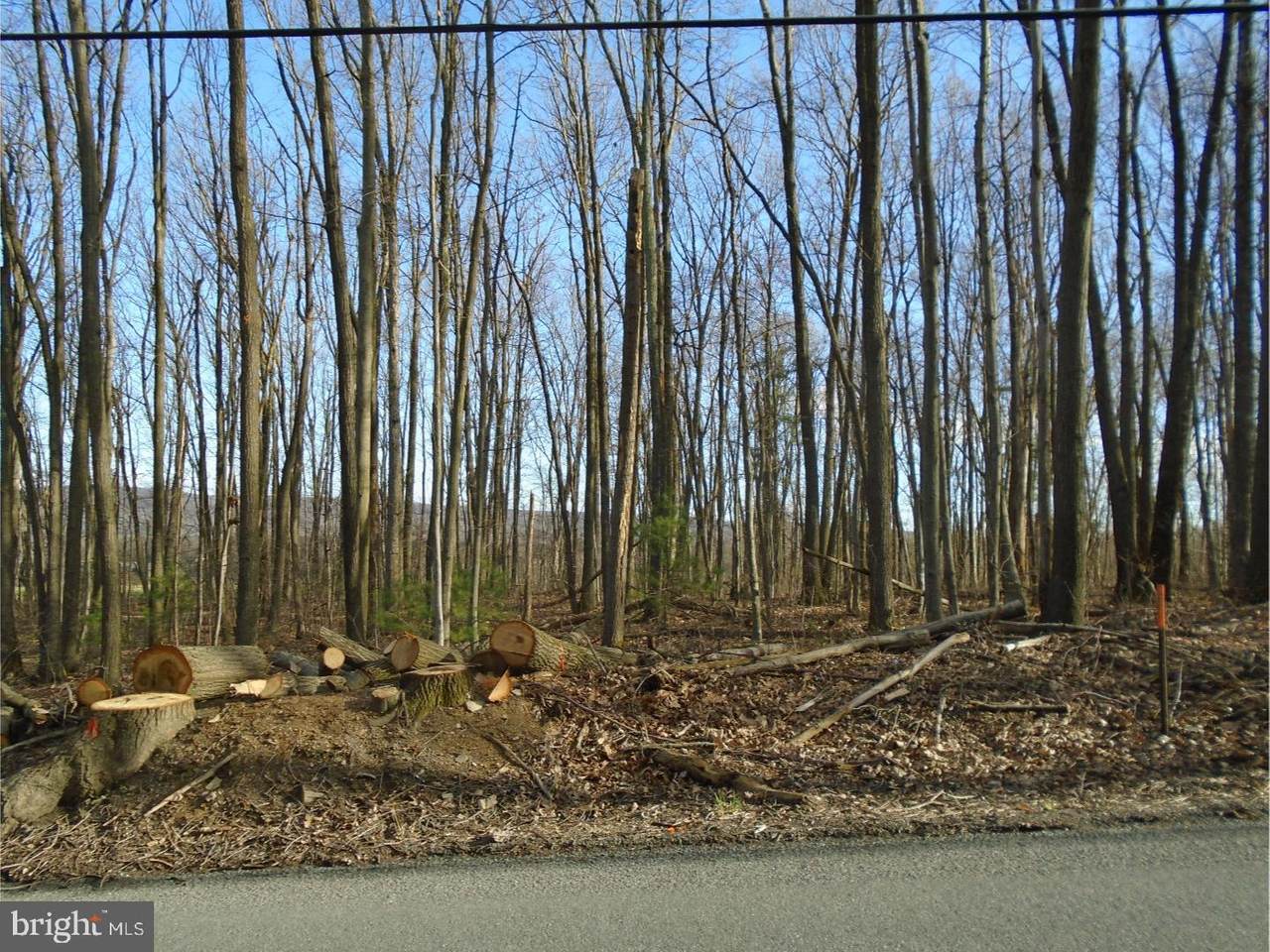 Lot #3 Luckenbill Road - Photo 1