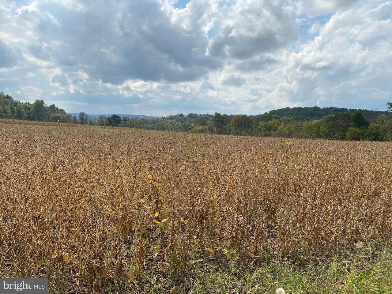 County Line Road - Photo 1