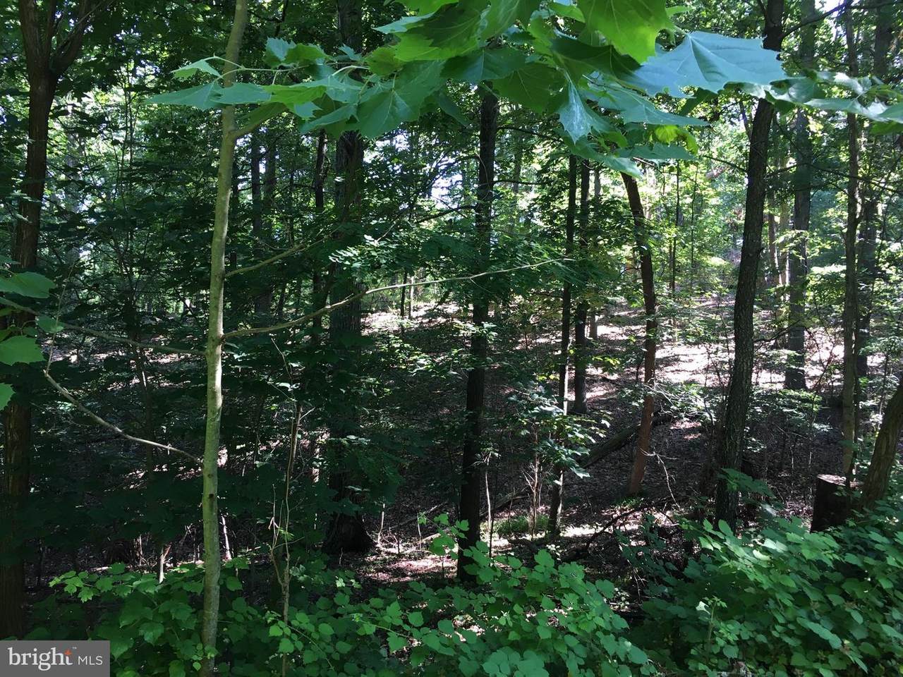 5153 Reels Mill Road - Photo 1