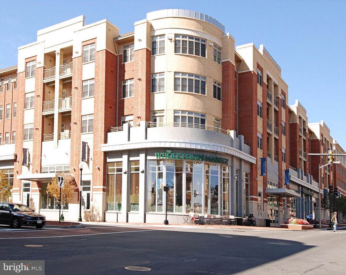309 Holland Lane - Photo 1