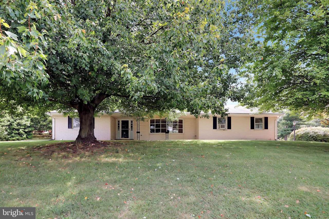 23128 Foxville Road - Photo 1