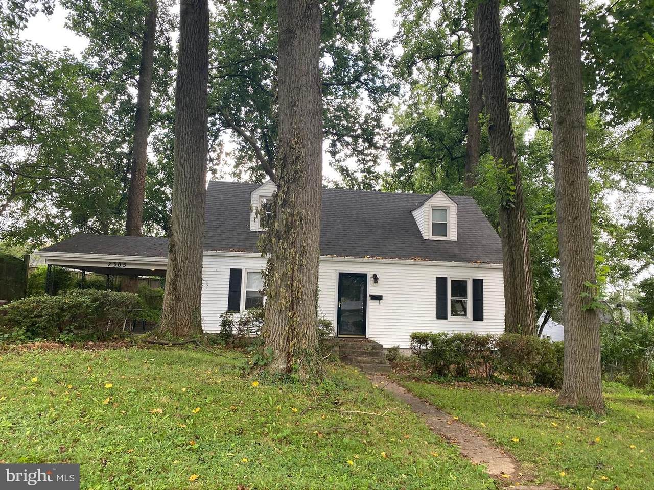 7305 Poplar Court - Photo 1