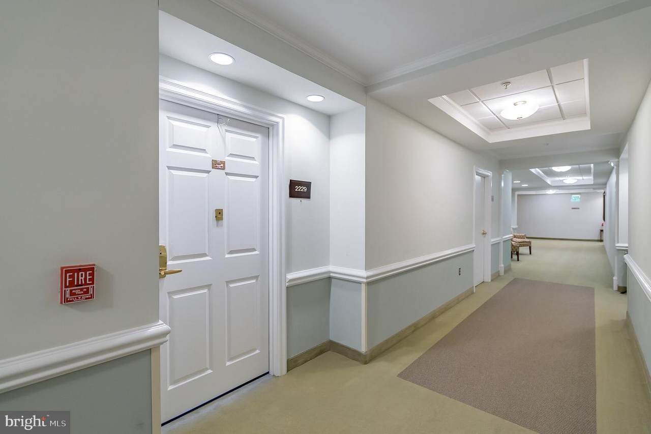 2229 Windrow Drive - Photo 1