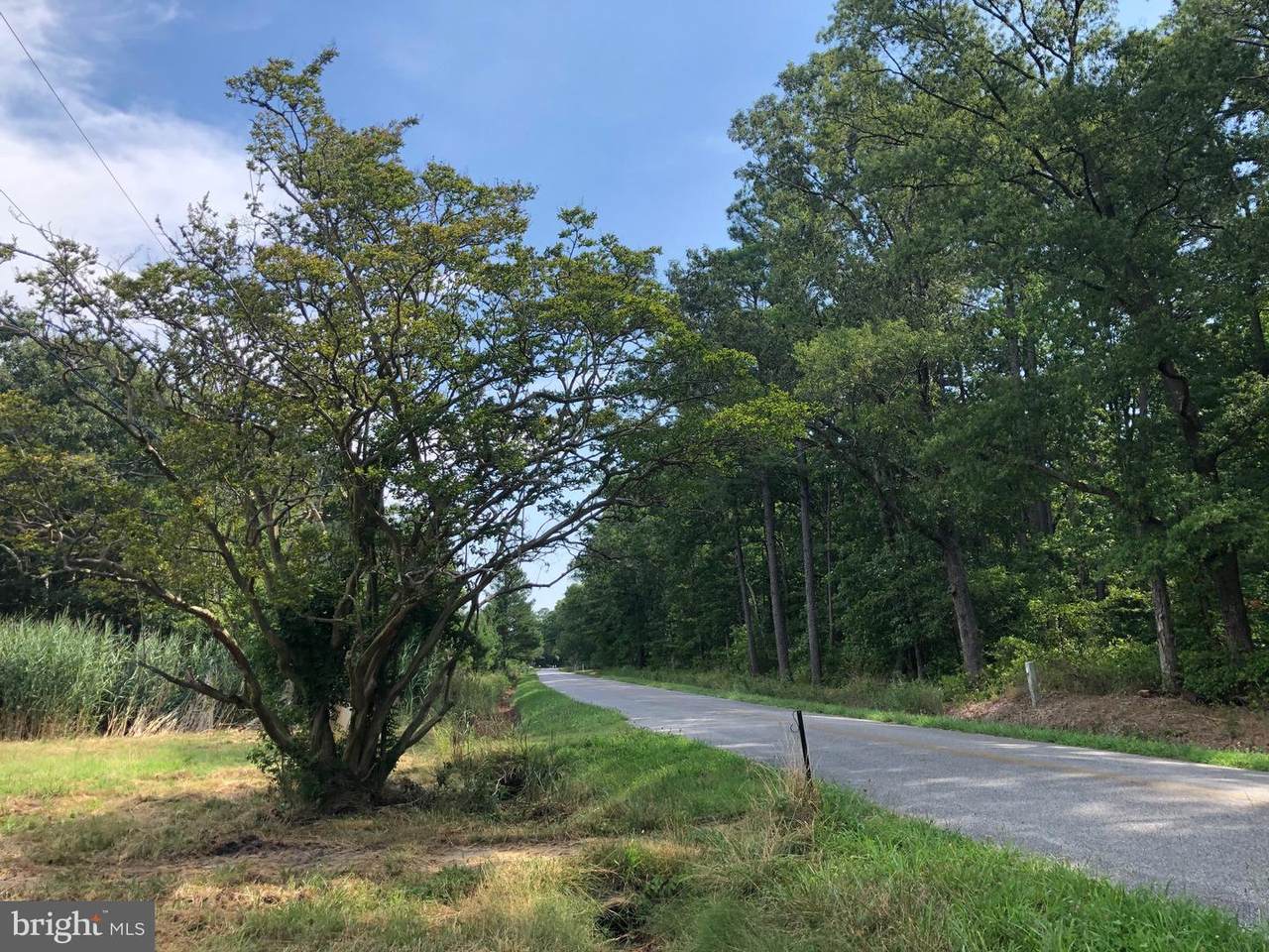 10318 Champ Road - Photo 1