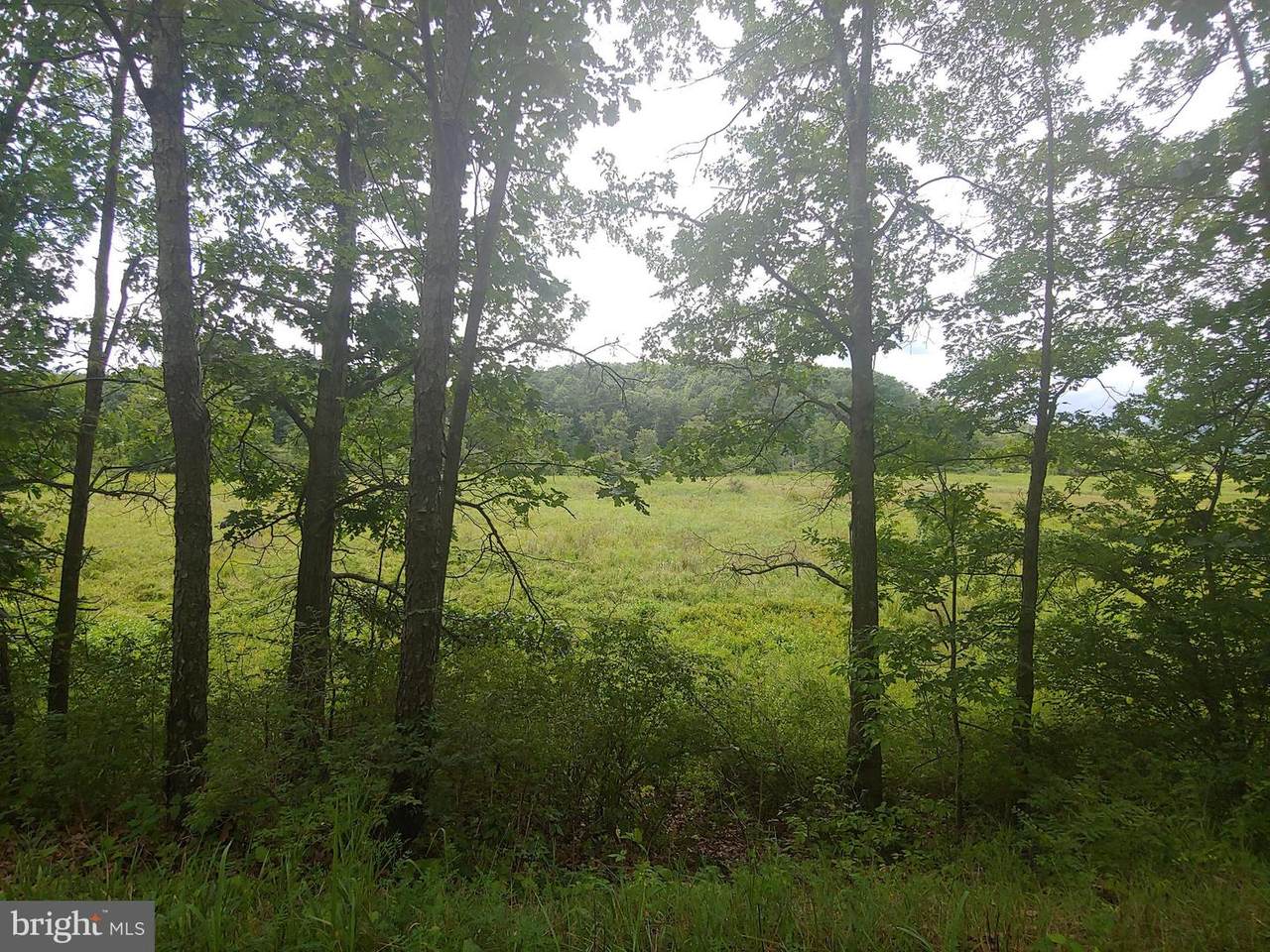 Bear Hill Road - Photo 1