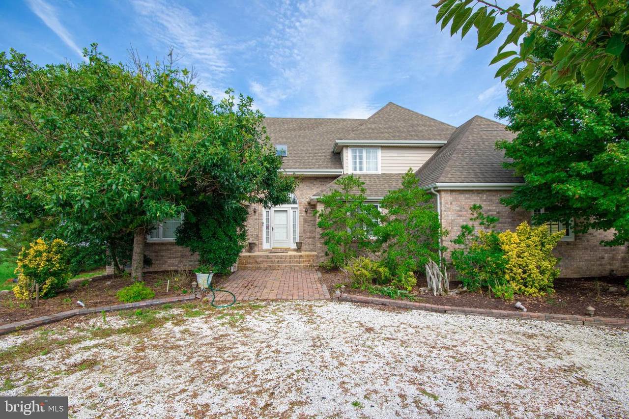 10241 Deal Island Road - Photo 1