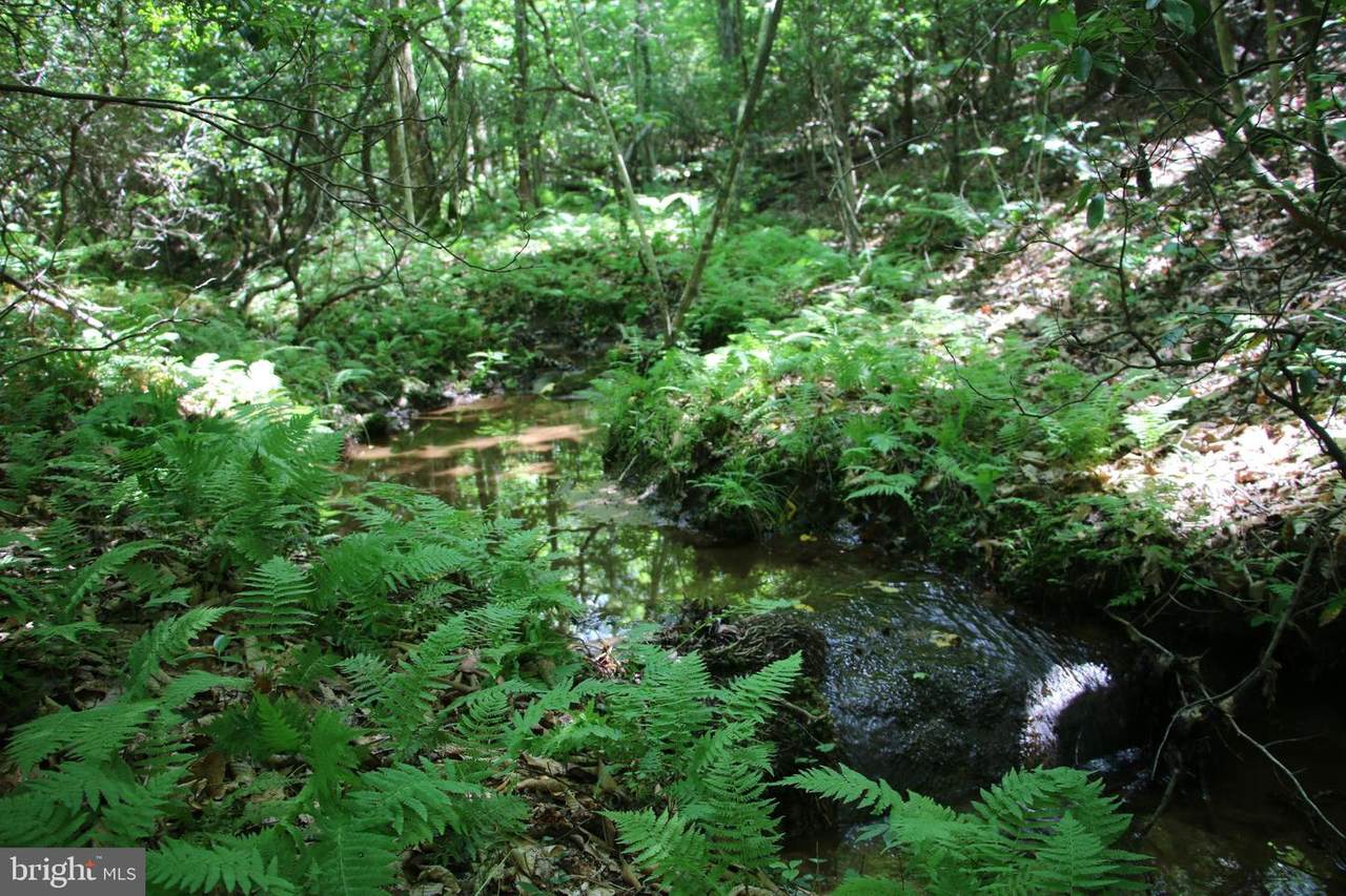 Loblolly Court - Photo 1