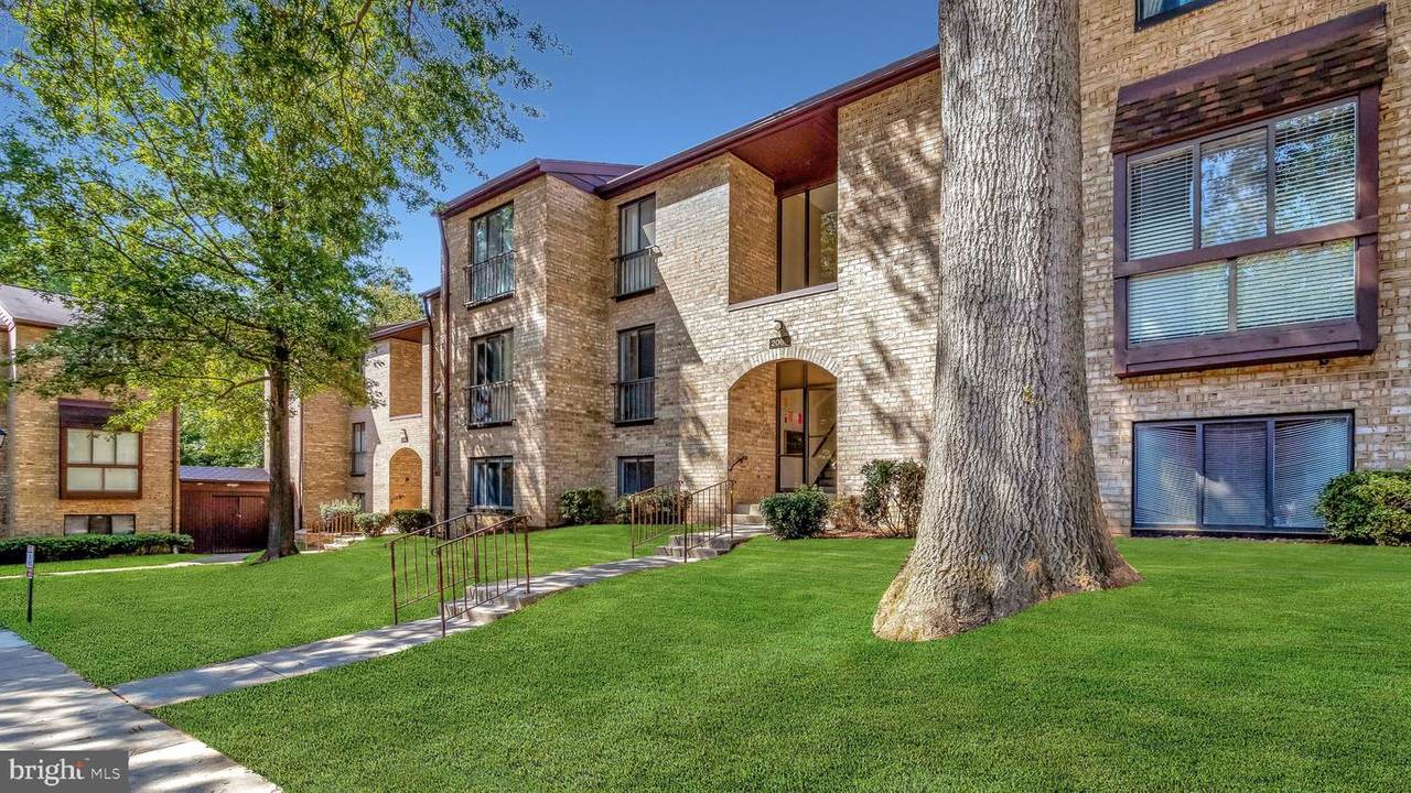 2069 Royal Fern Court - Photo 1