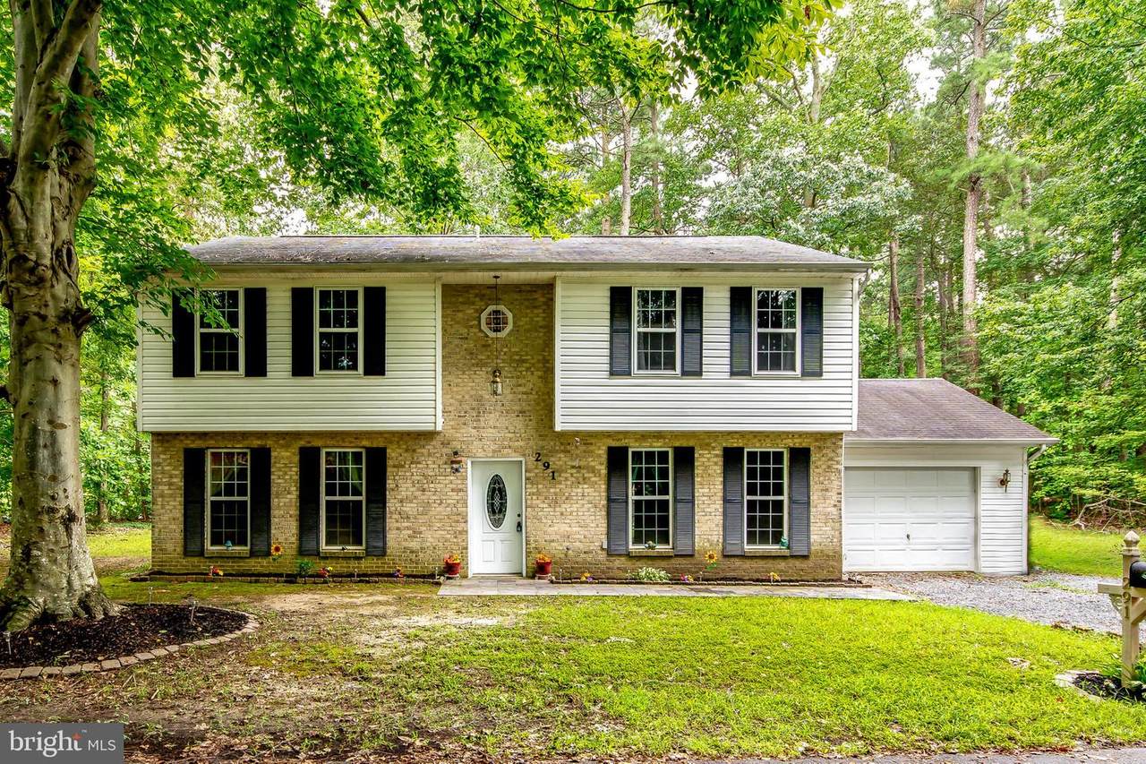 291 Elkins Lane - Photo 1