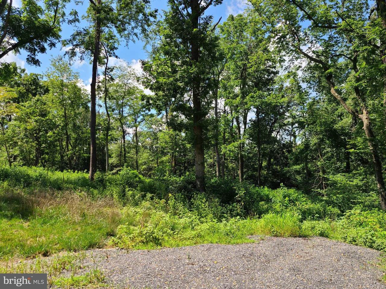 Lot 2, Langhorne Drive - Photo 1