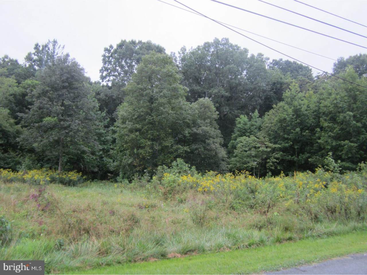 Lot 18 Pittsfield Street - Photo 1