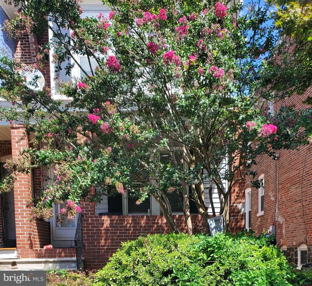 509 24TH Street - Photo 1