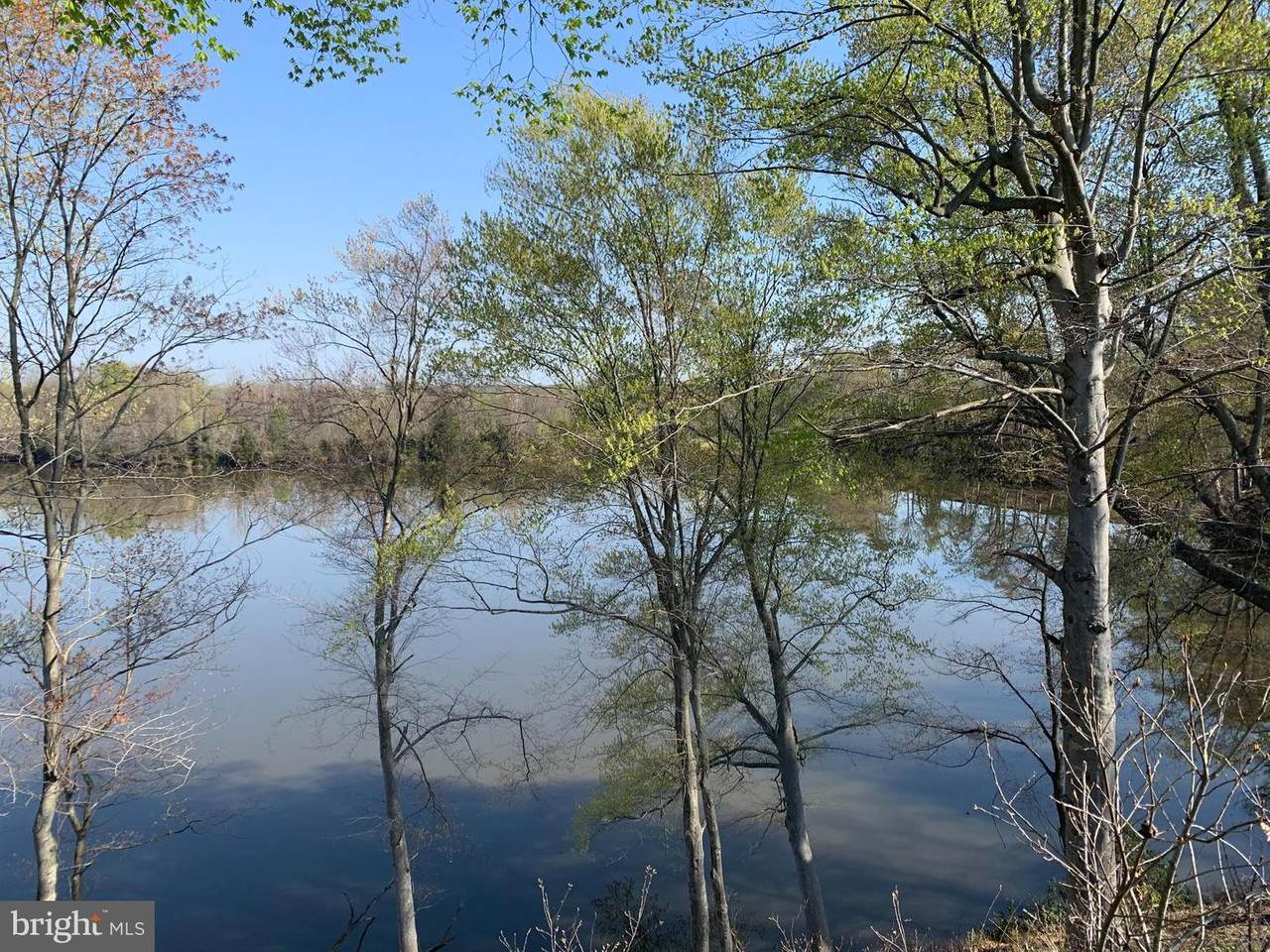 1907 Pond Bluff Court - Photo 1