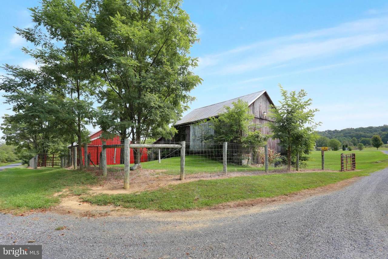 Frog Hollow Road - Photo 1