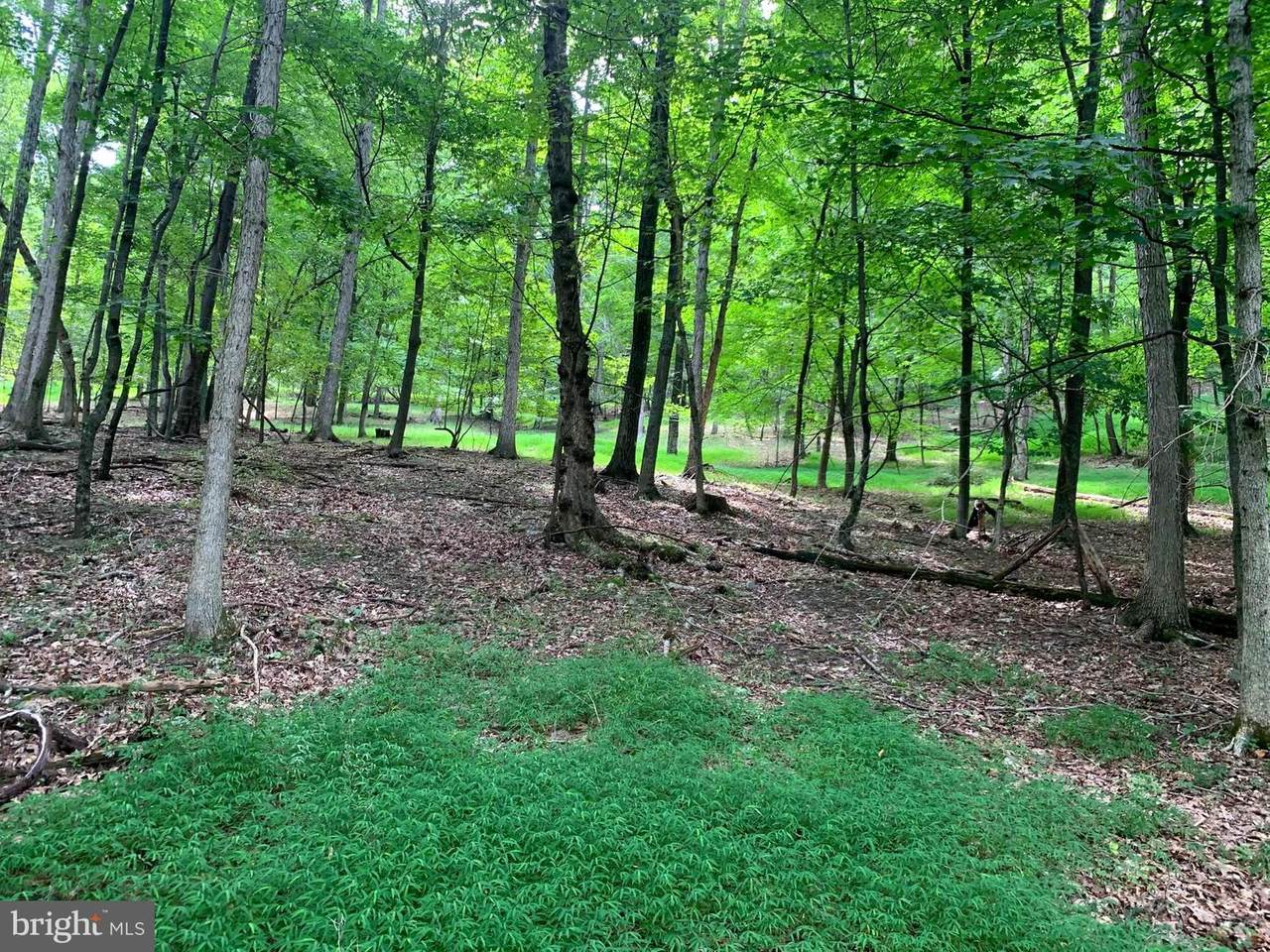 Caribou Drive - Photo 1